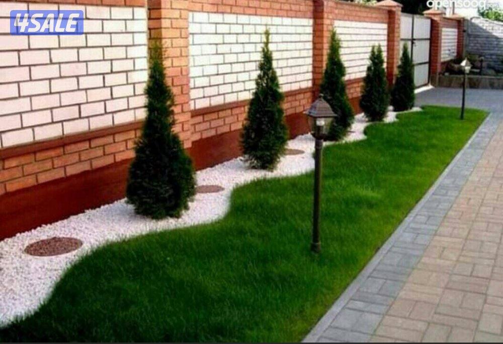 زراعة وصيانة الحدائق1