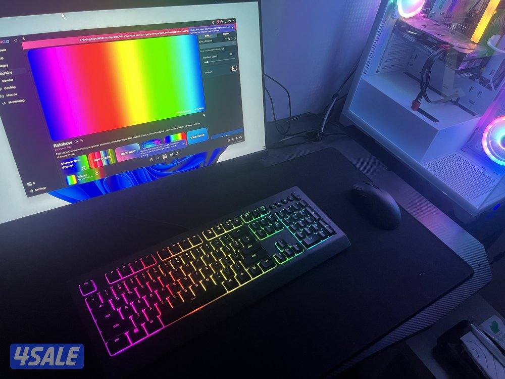 Razer BlackWidow V4 X Wired Gaming Keyboard1