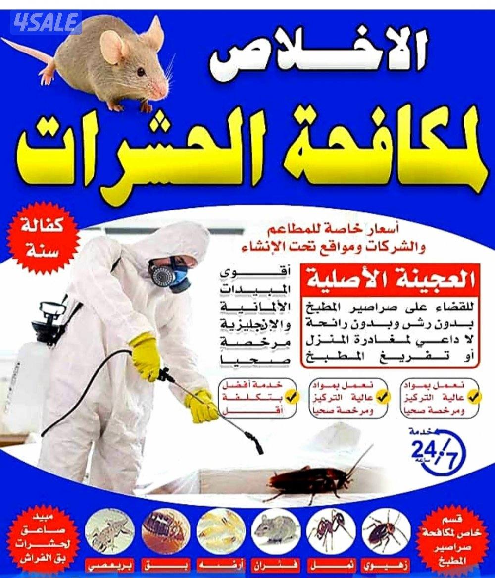 مكافحة حشرات وقوارض0