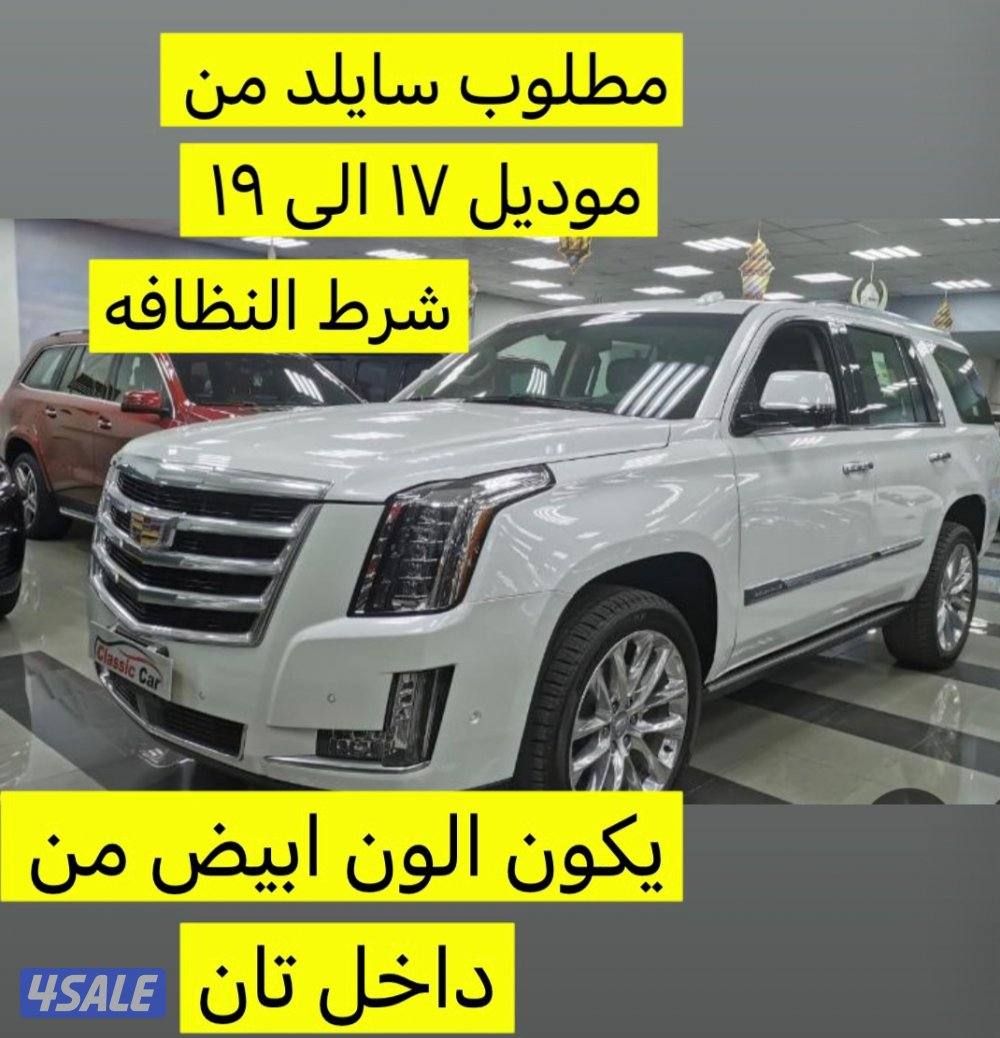 مطلوب كاديلاك اسكاليد من ٢٠١٧ الى ٢٠١٩0