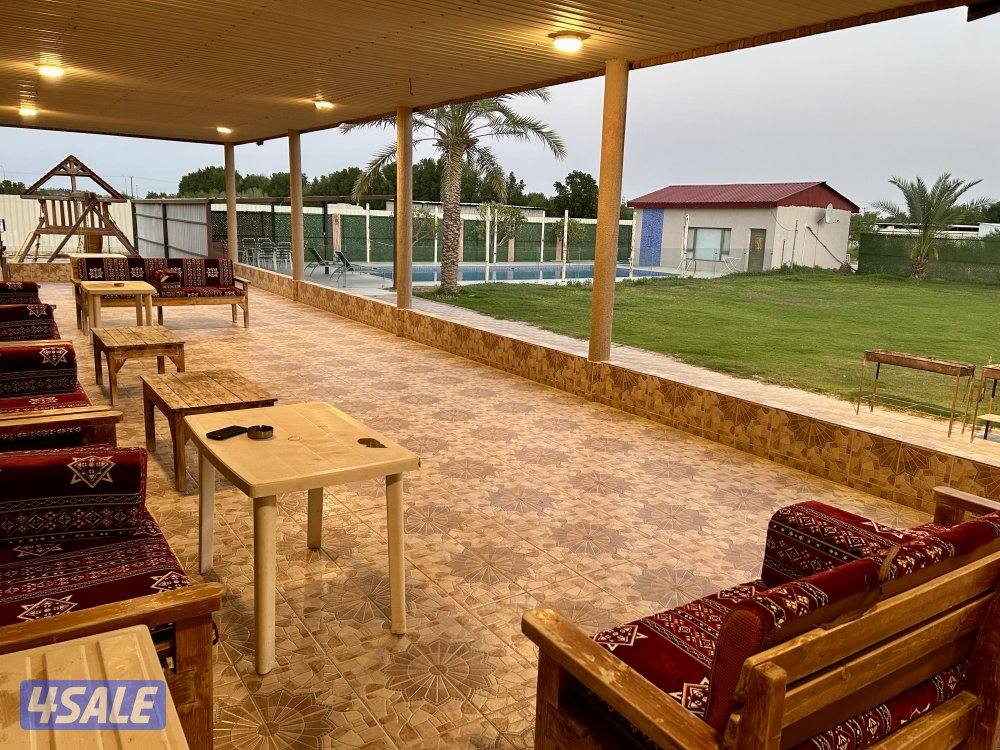 للإيجار اليومي مزارع في الوفرة0