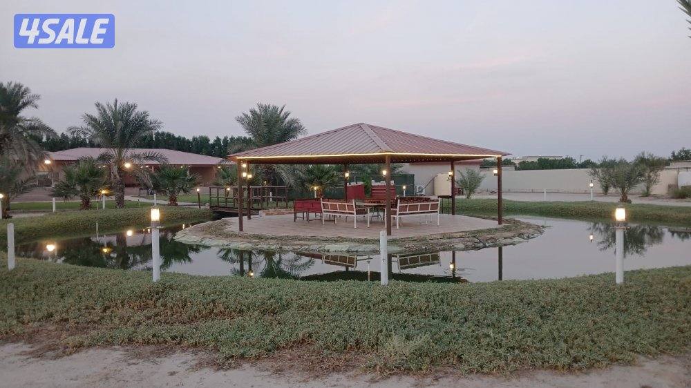 للإيجار اليومي مزارع في الوفرة5