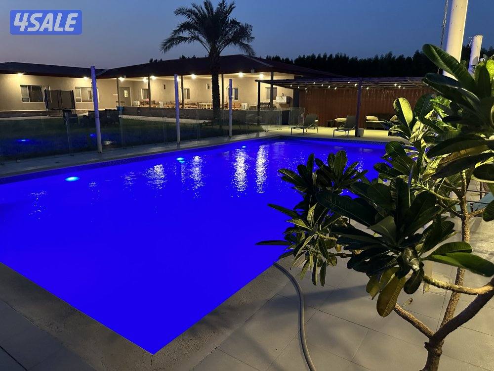 للإيجار اليومي مزارع في الوفرة7