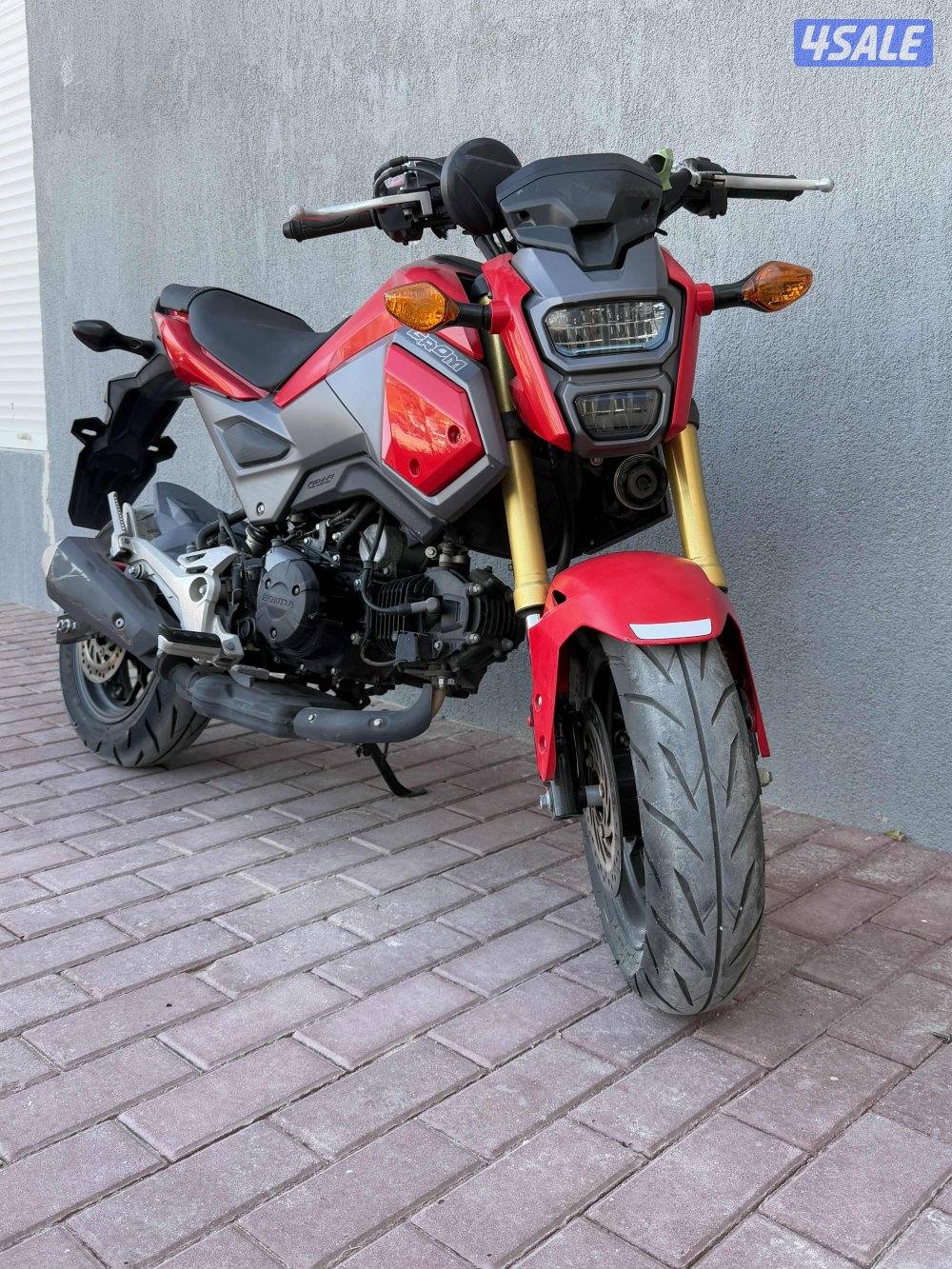 قروم هوندا داكس4