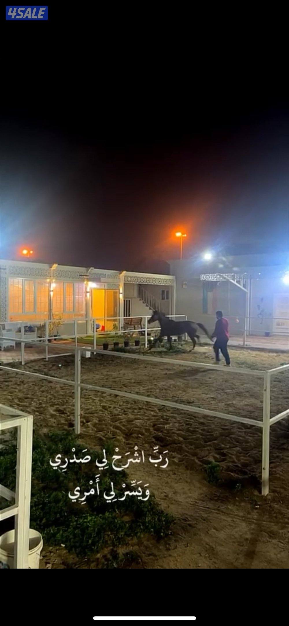 مربط جنب الخطة الجديدة0