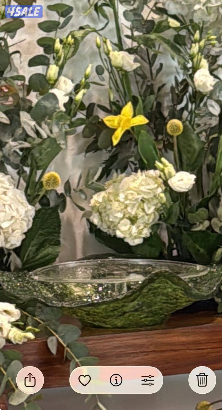 لاصحاب المشاريع المميزة للبيع صحون حلا و فطاير رزن حجمهم وايد حلو1