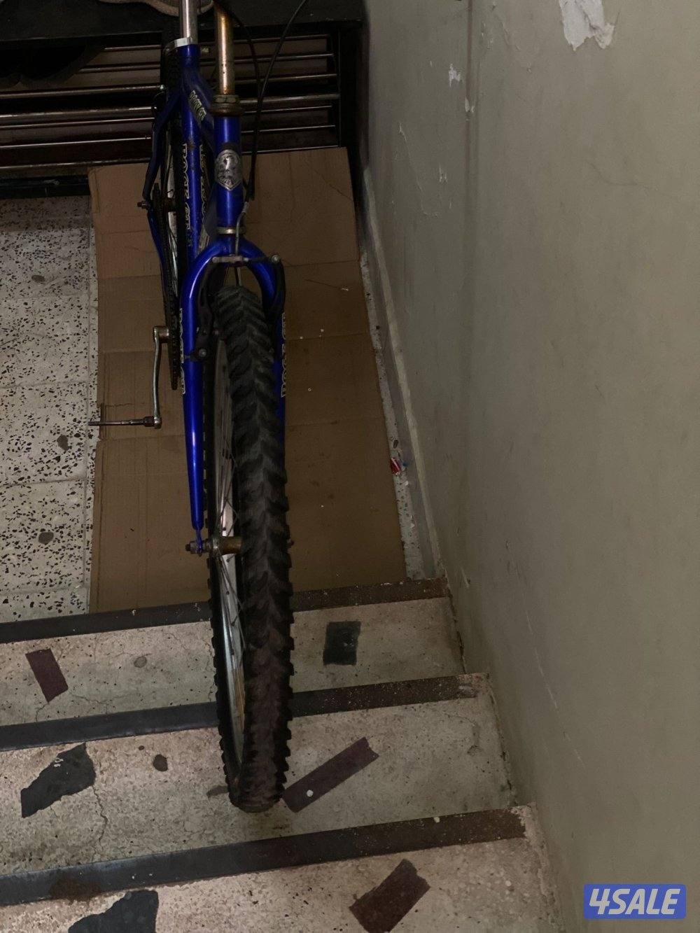 سيكل.قاري نظيف لازم دعاسات بريكات شغال نظيف جدا التواير جديده3