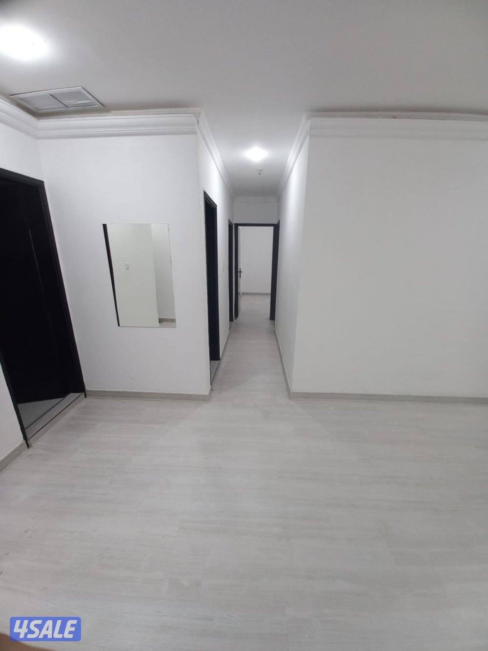 شقه للايجار4