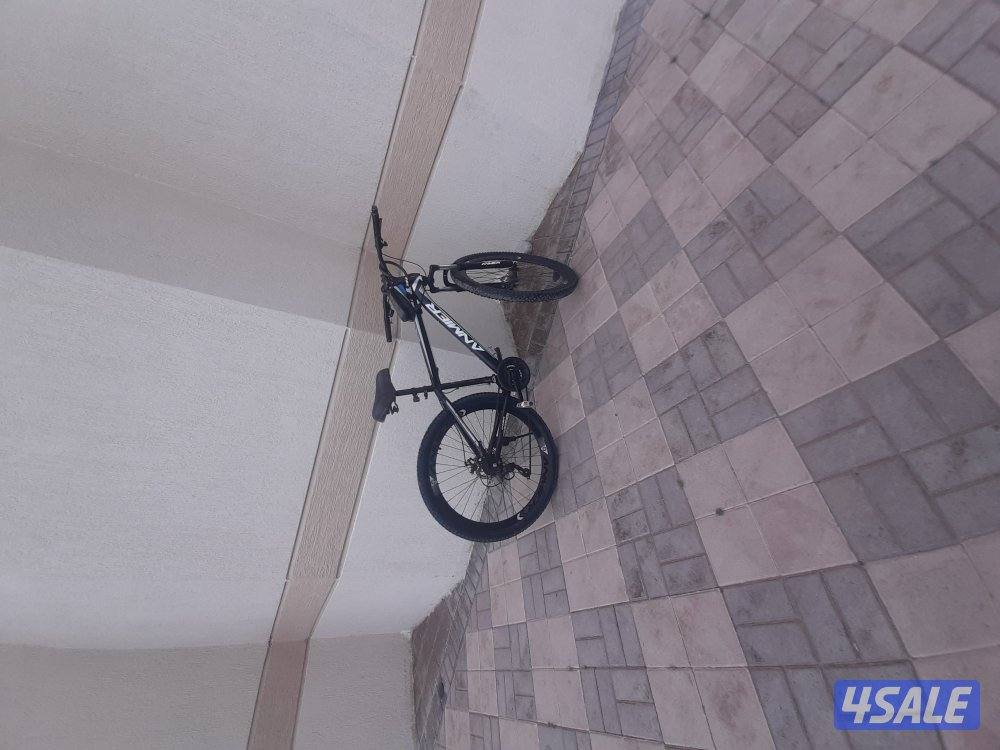 دراجة هوائية6