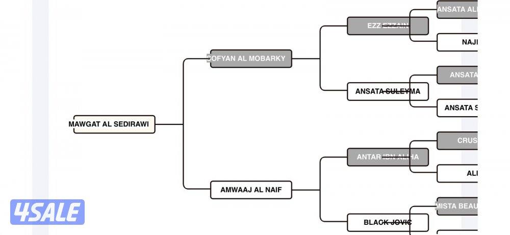فرس بوليش كميت تحويل 6/10/20132