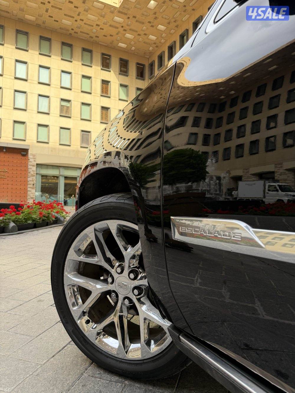 سكاليد 2016 شرط الفحص4