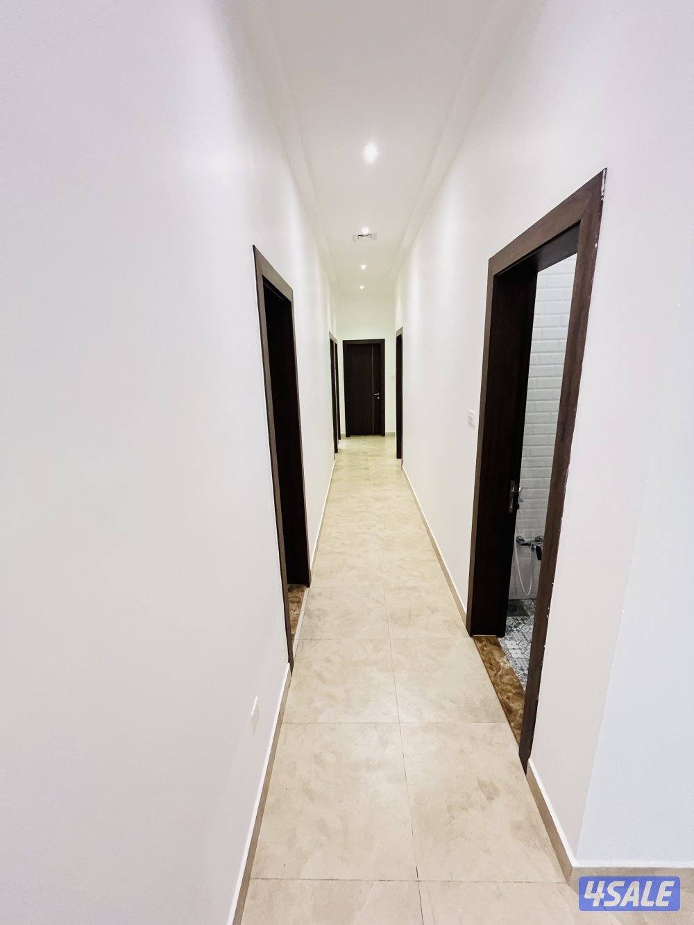 الصديق قطعة ١2