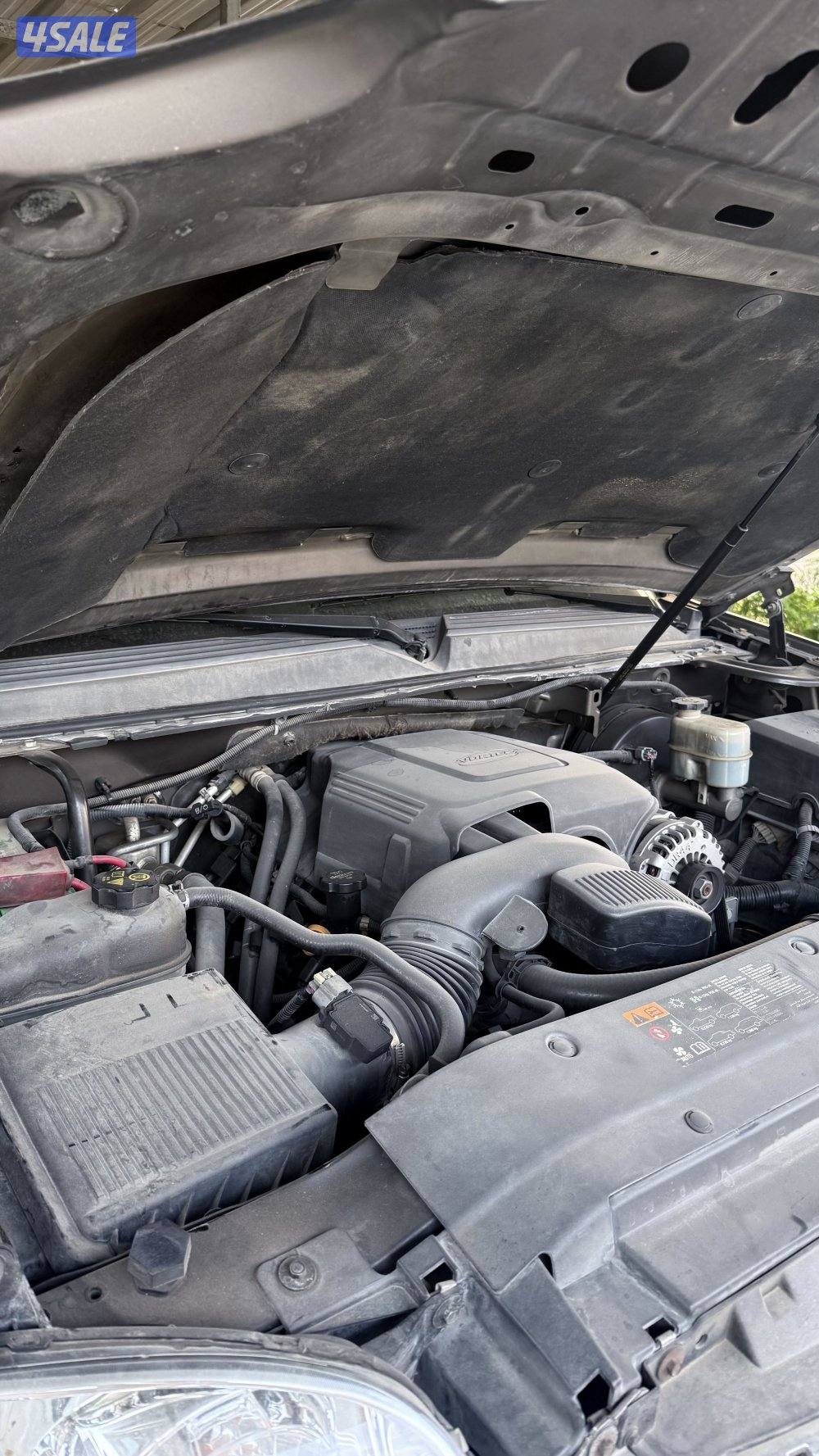 للبيع دينالي شرط الفحص6