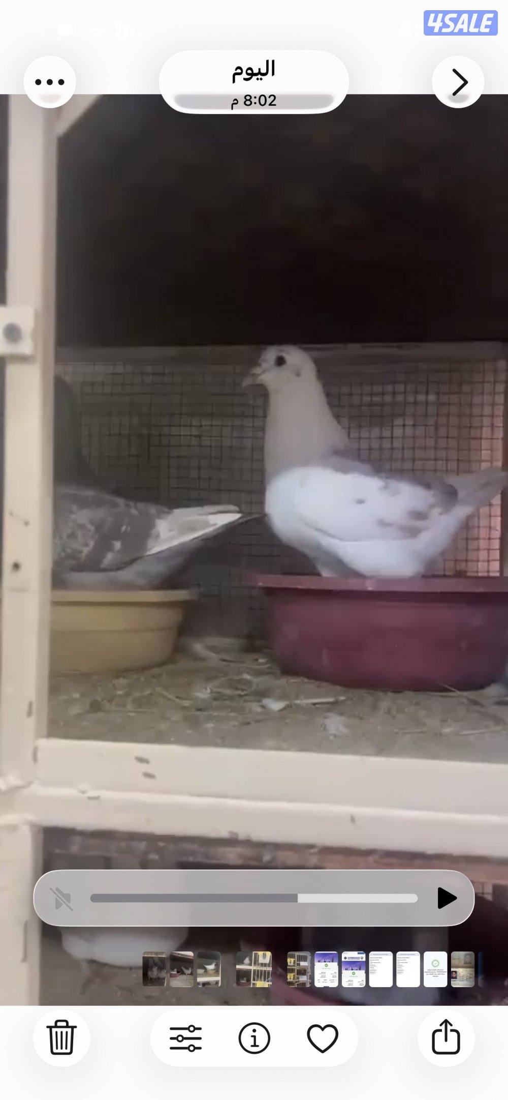 للبيع ازواج حمام لاحم الوزان تراكيب حمام نظيف ومطعم شرط الصحه9ازواج و0