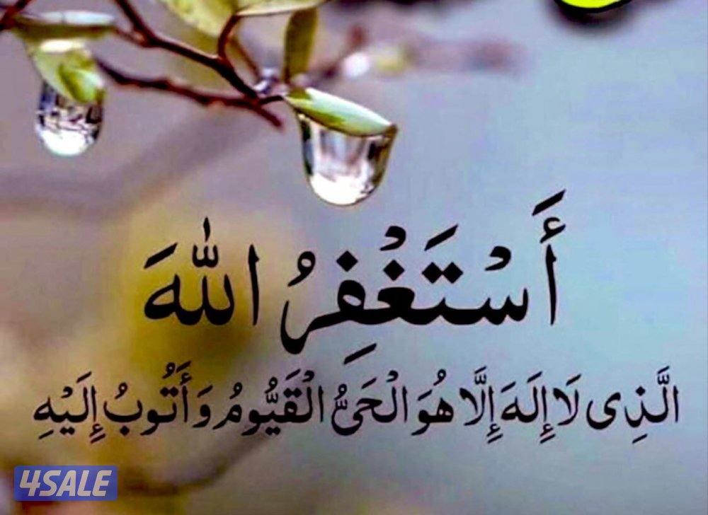 للايجار شقه بالعيون0