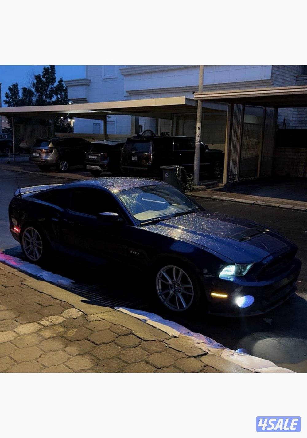 للبيع موستنق ٥.٠ موديل ٢٠١٣ ماشي ١٨١ الف كيلو1