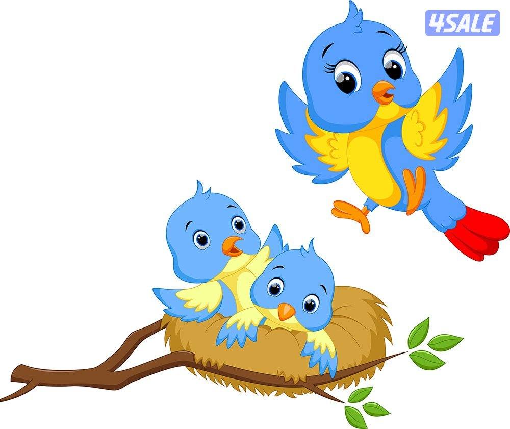 مطلوب طائر للتبني0