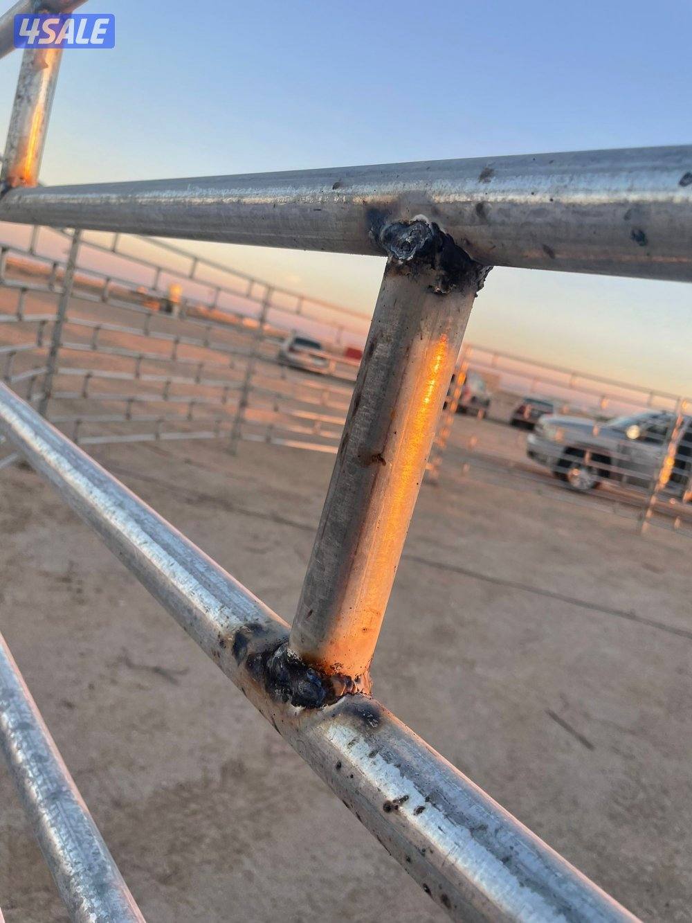 المطلاع تفصال شبك ابل وغنم وخيل جلفنايز5