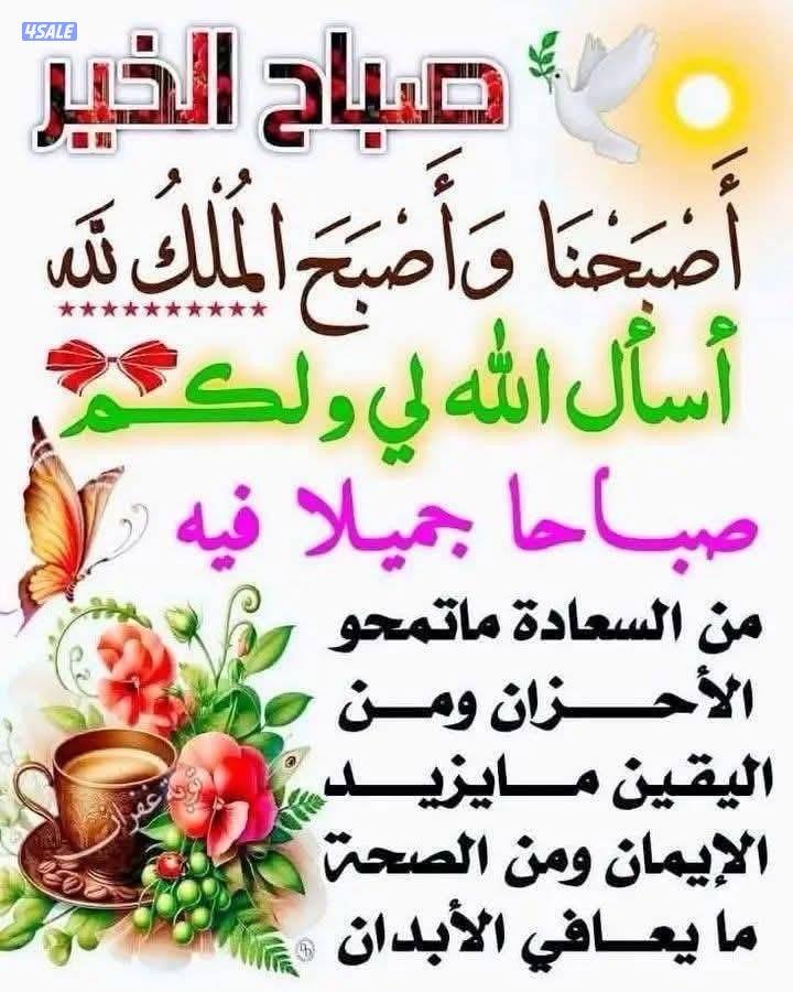 توصيل طلبات0