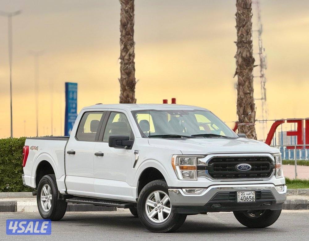 وانيت فورد 2021 غمارتين شاصي صغير1