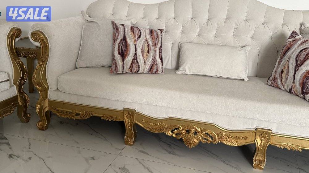 غنفات للبيع نظاف2