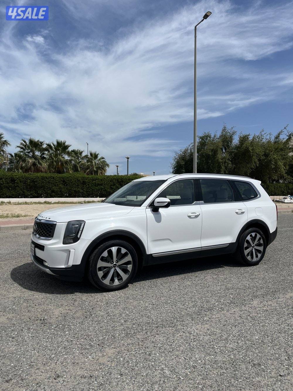 كيا تيلورايد 2020 شرط الفحص بالكامل8