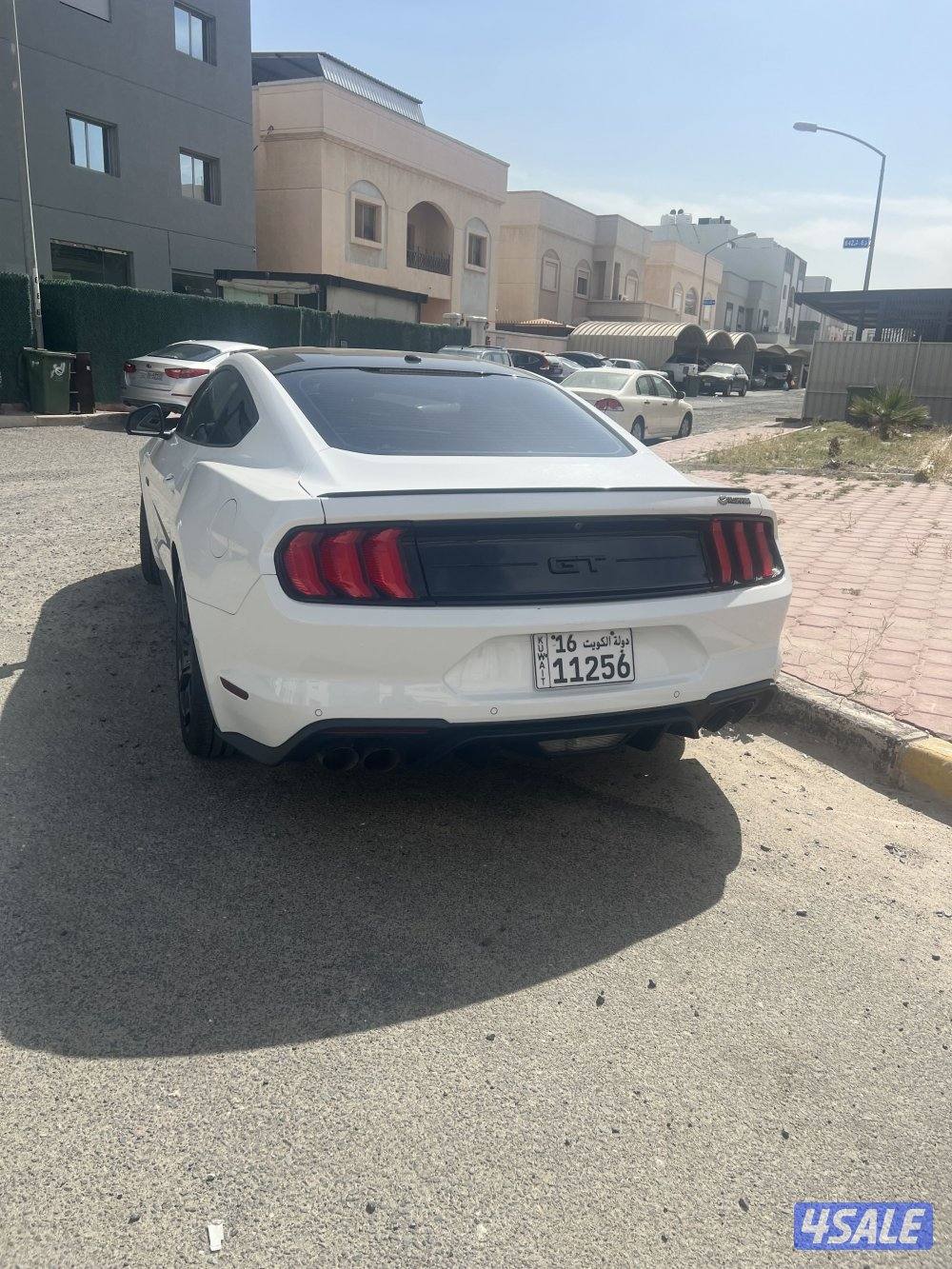 موستنج قير عادي 20191