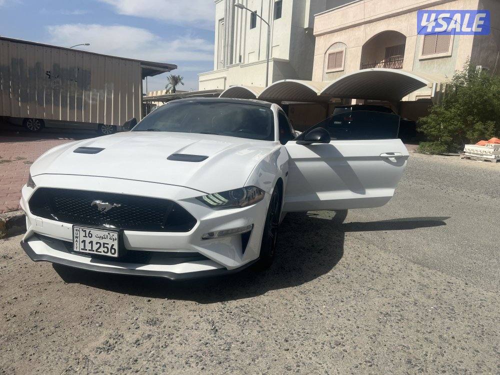 موستنج قير عادي 20192