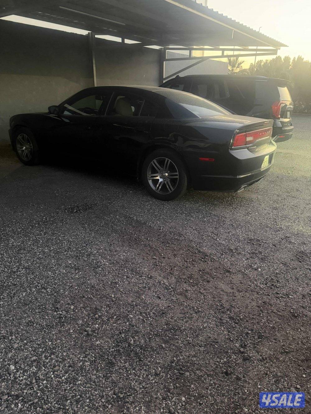 بيعه سريه الي دور النضيف السعر نهايته شرط الفحص3