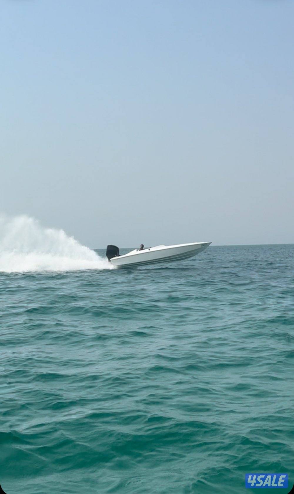 هوك النورس 2025 قدم213