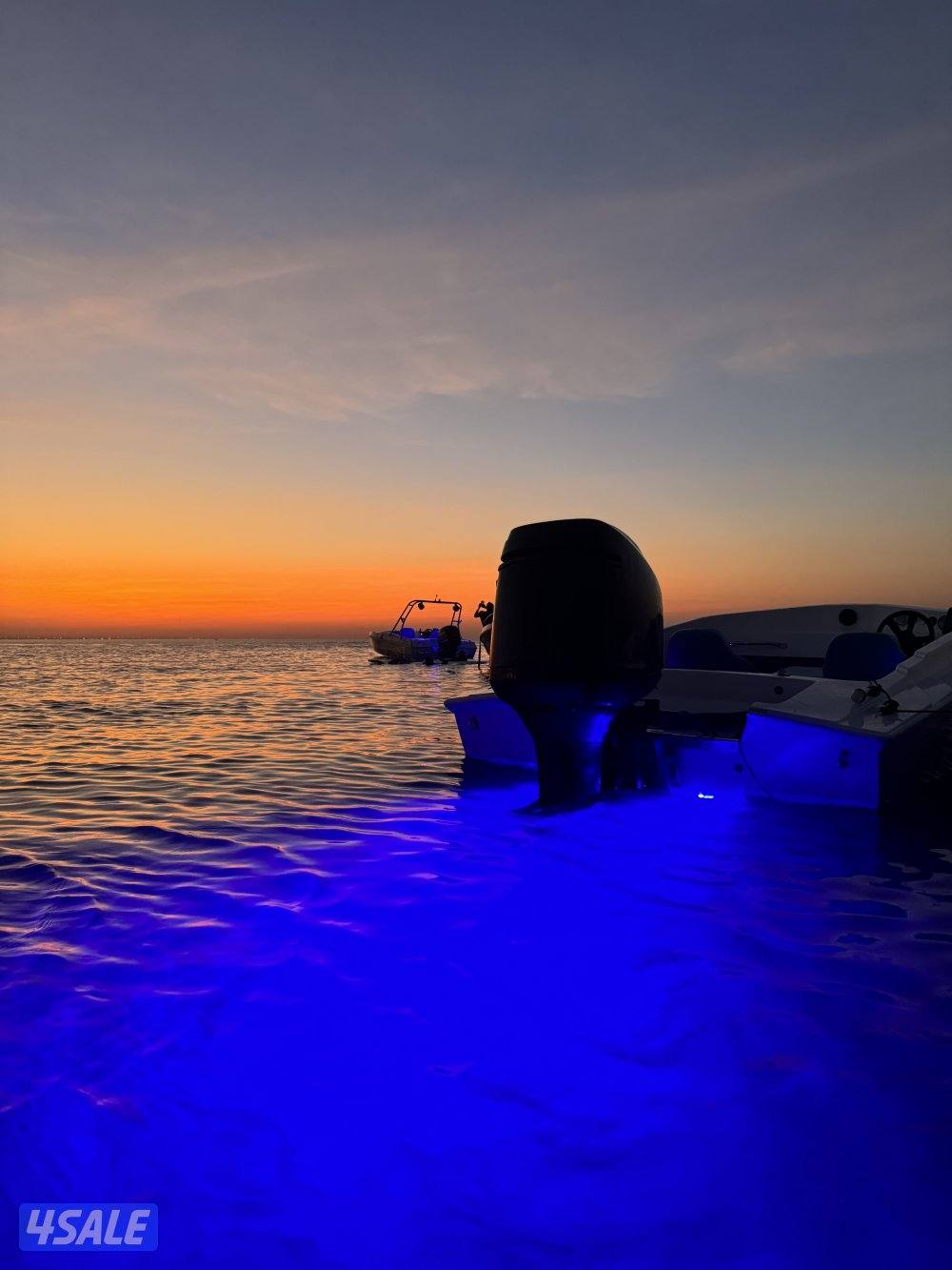 هوك النورس 2025 قدم214