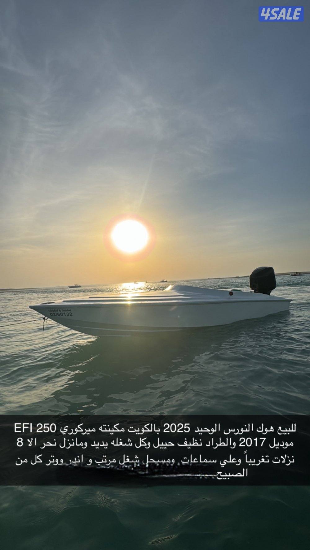 هوك النورس 2025 قدم210