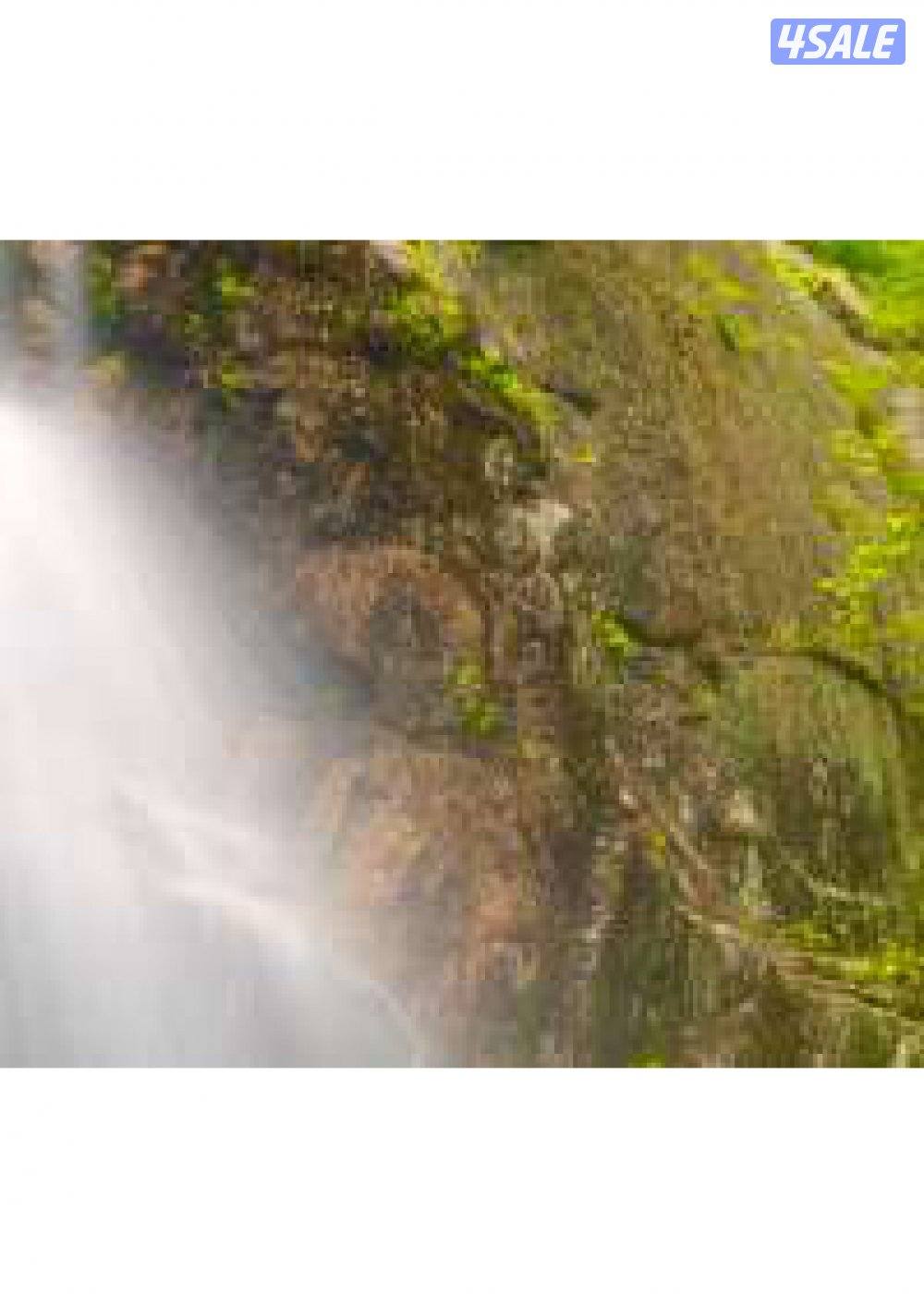 توظيف سايقين دراجات نارية سيكل motorcycle0