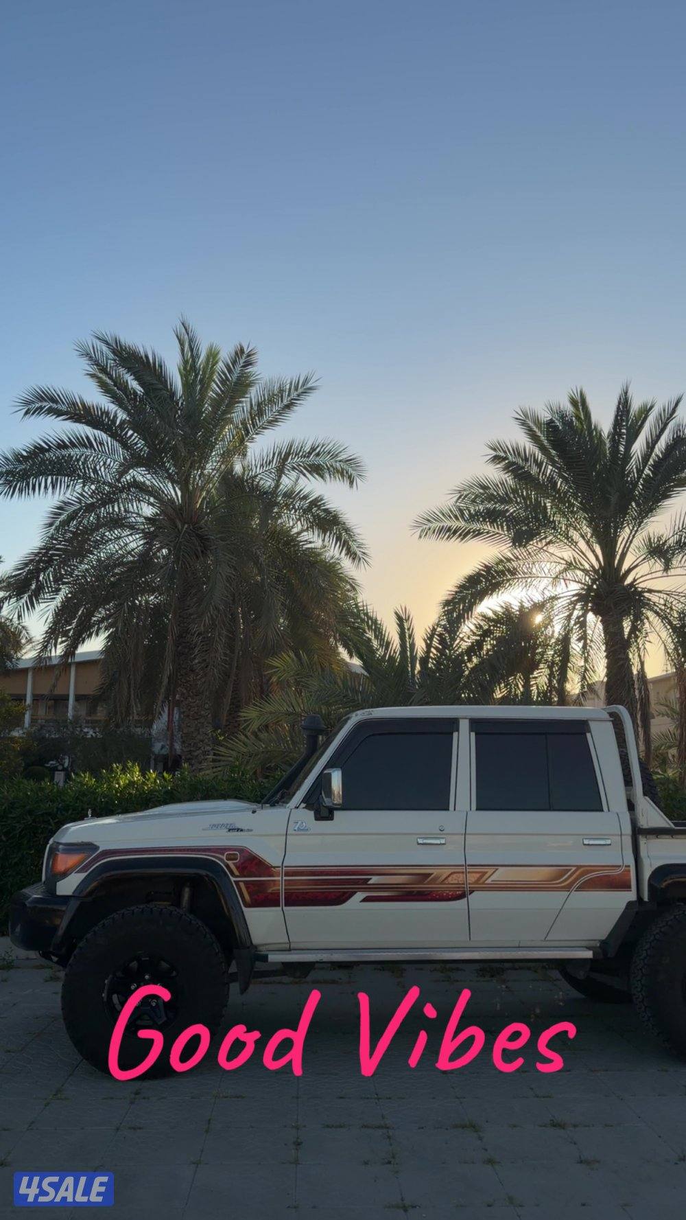 شاص غمارتين  2022LC791