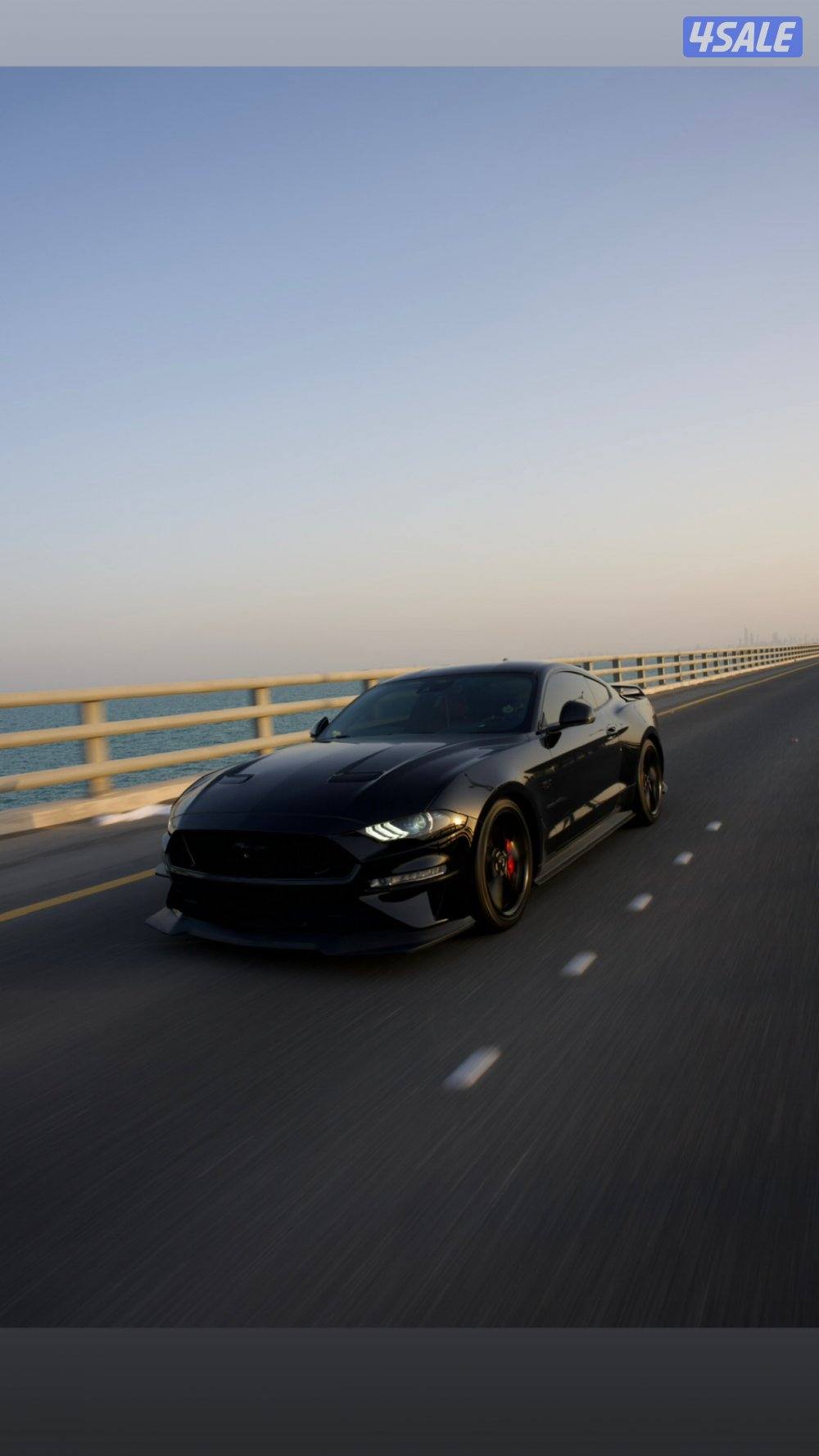 موستنق بريميوم 20220