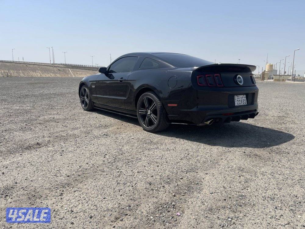 موستنق ٢٠١٣1