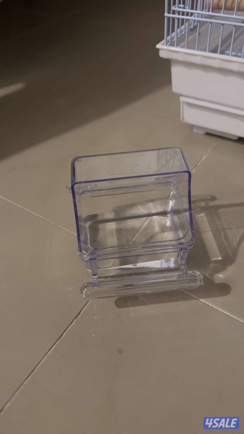 ببغاء كروان كوتيل نوع بيكاتشو عمره 5 شهور أليف ربوه3