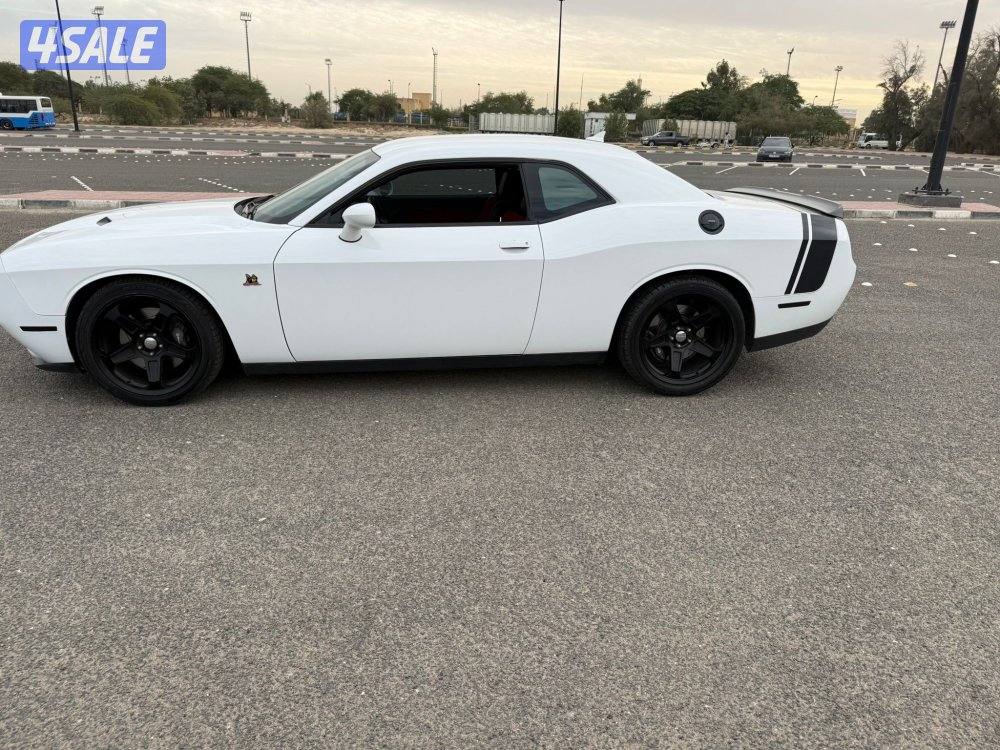 شمال الاحمدي5