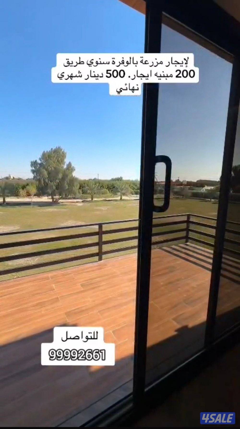 للايجار مزرعة في الوفرة طريق 200 مساحة 7000 متر4