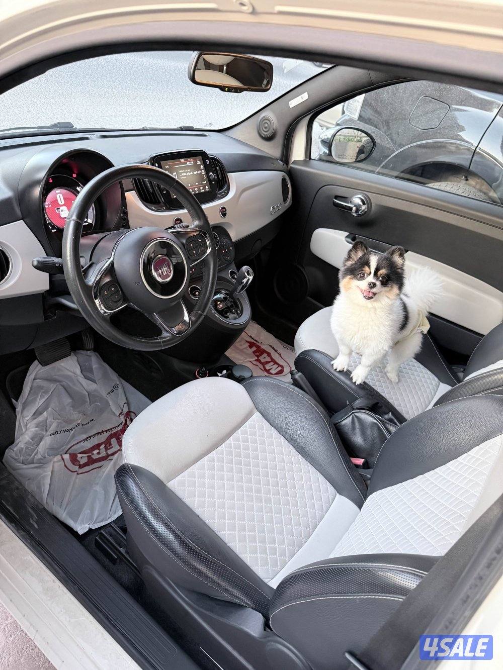 فيات 500 موديل ٢٠٢٠5