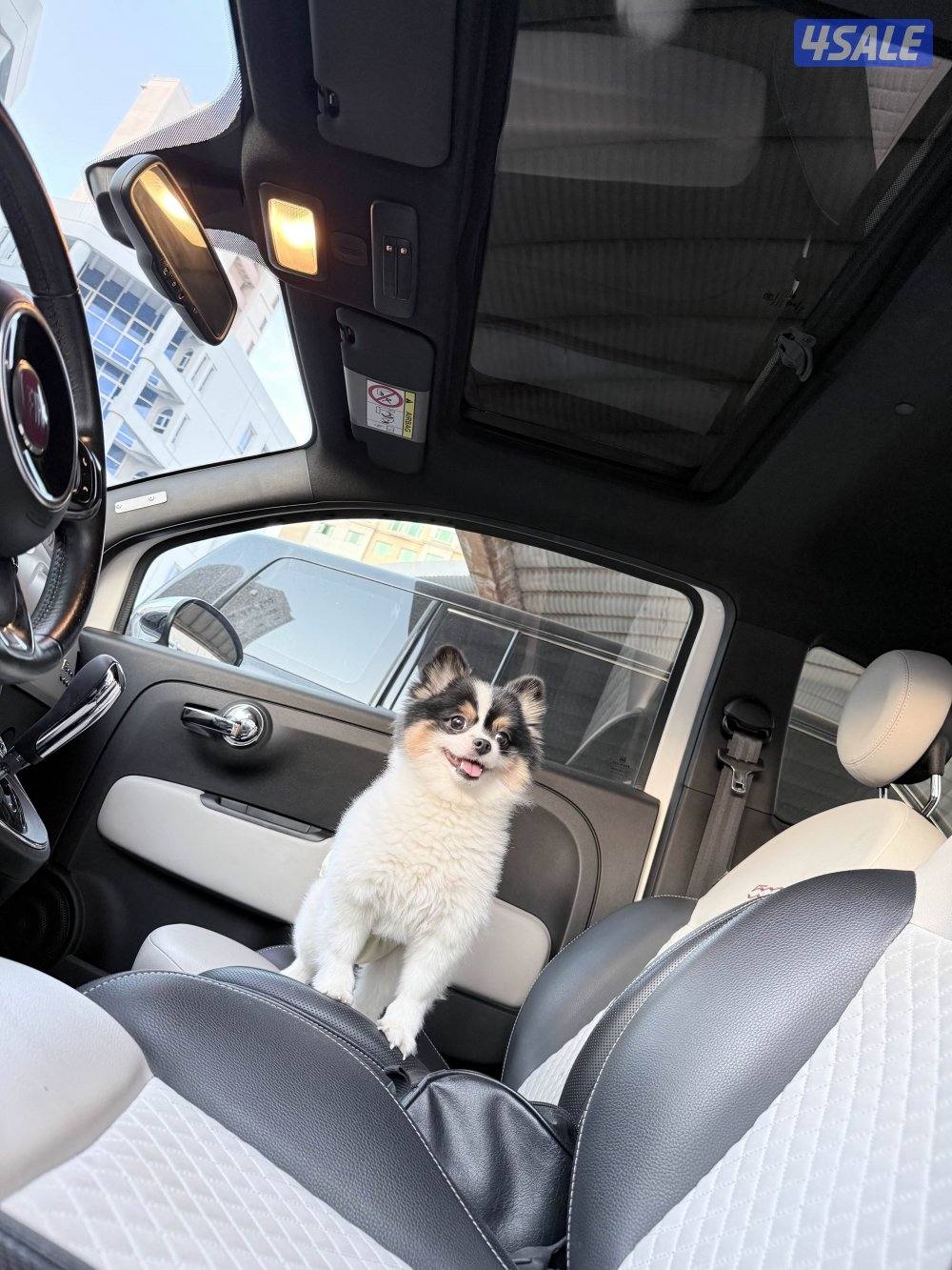 فيات 500 موديل ٢٠٢٠7