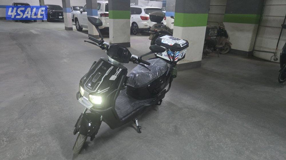 صباح السالم0