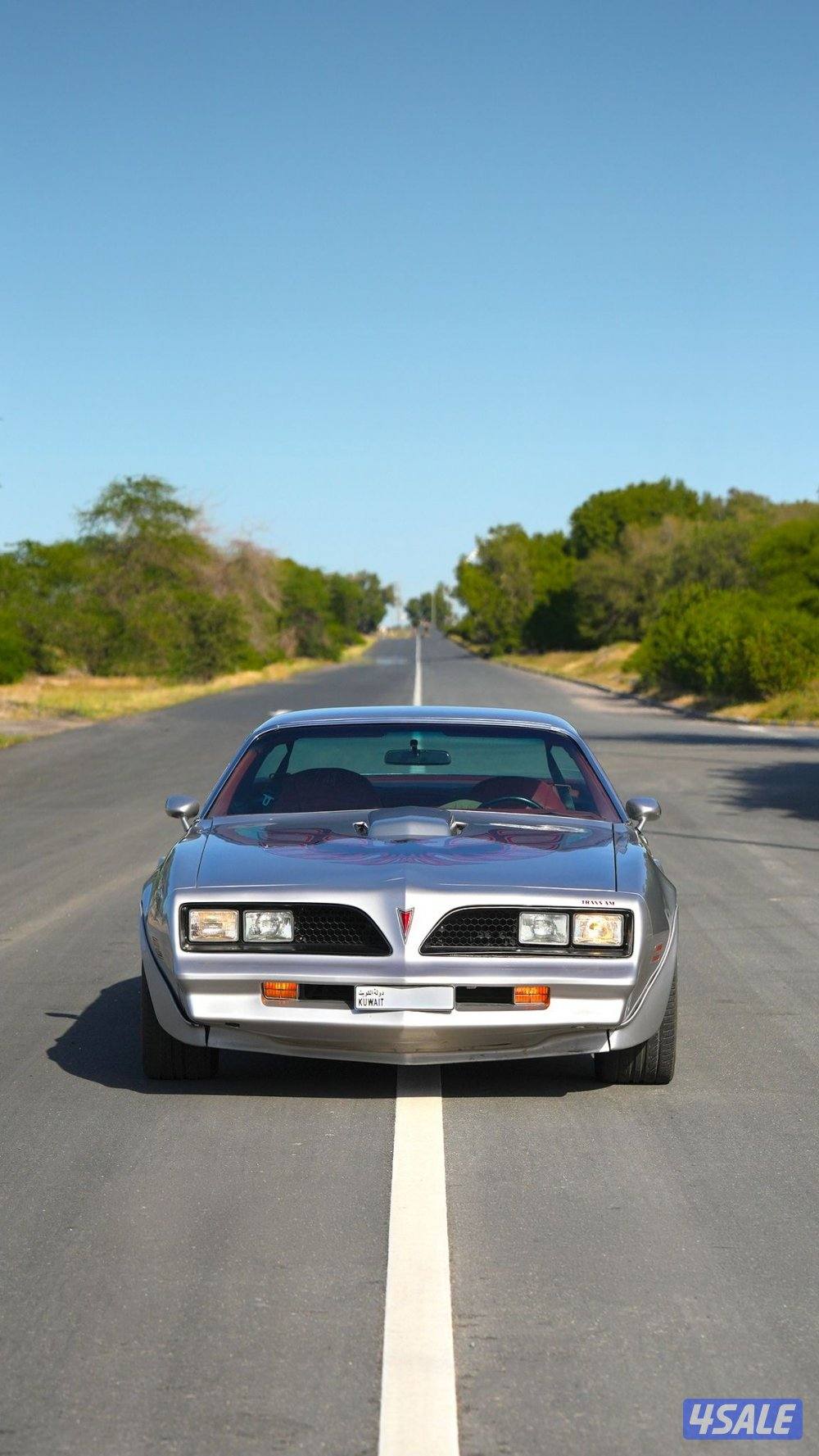 TRANS AM6