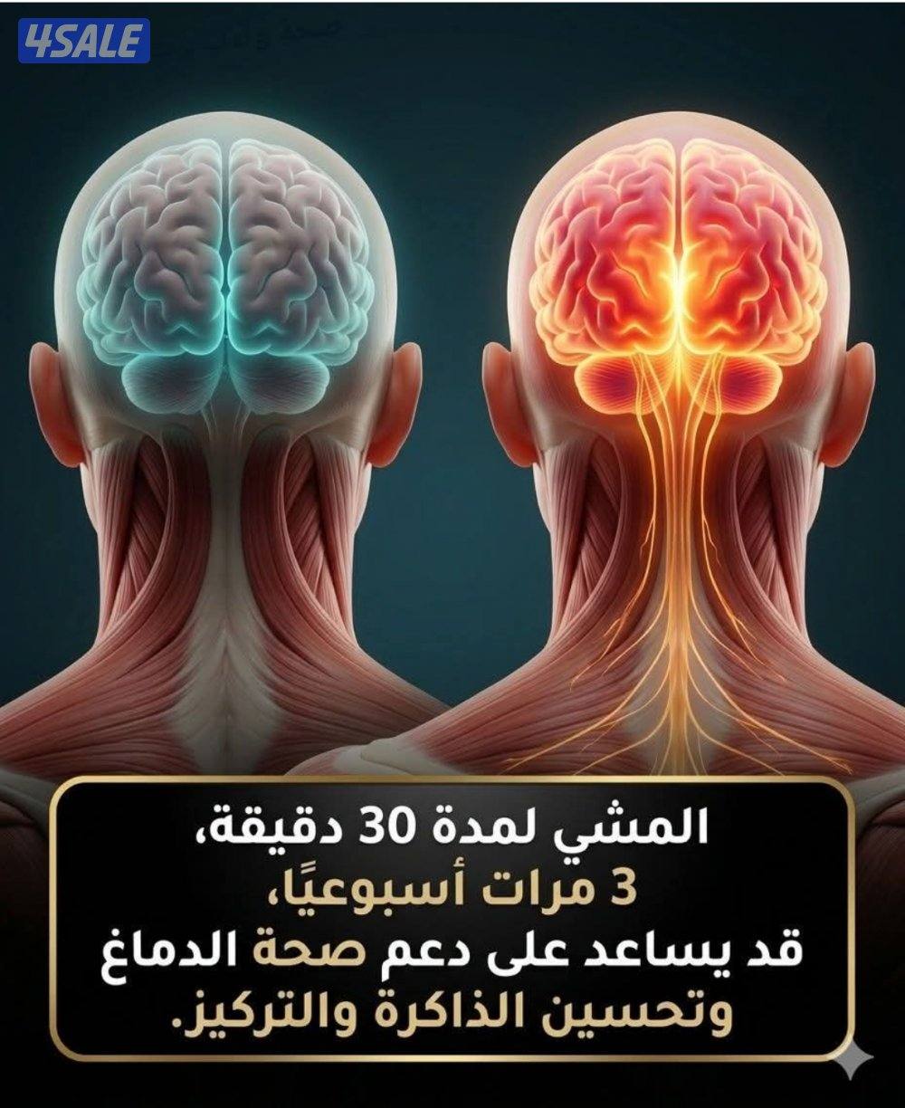 مساج كولاجين الالم الجسم2