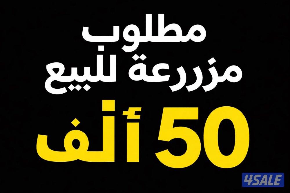 مطلوب للبيع مزرعة ٥٠ ألف متر من المالك مبا شرة0