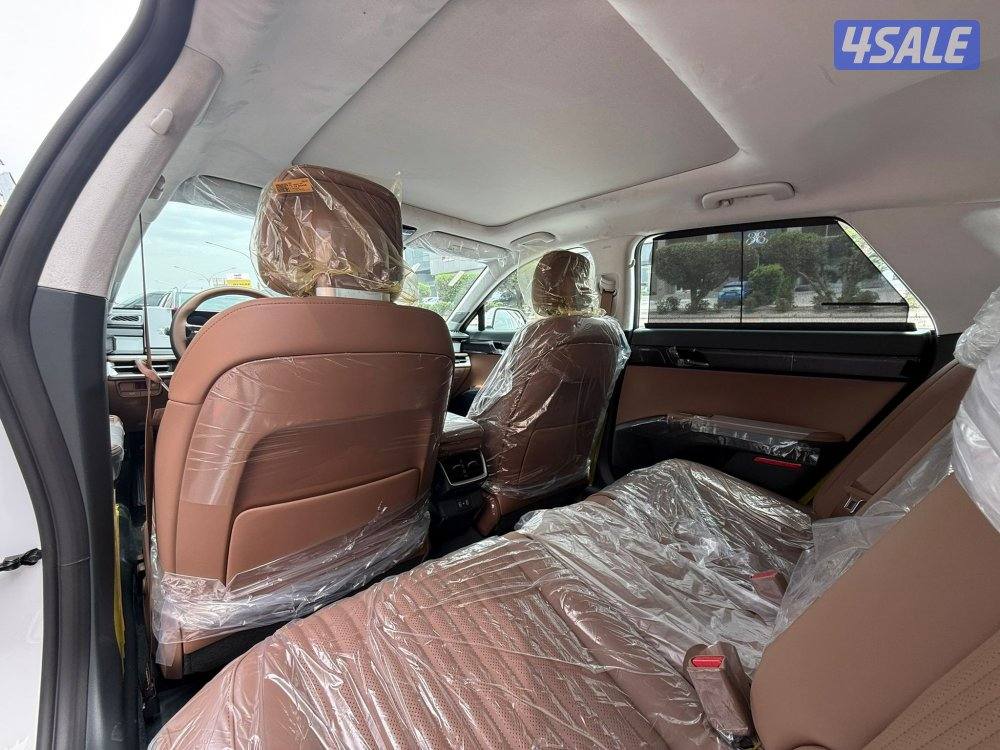 Hyundai Azera Calligraphy6