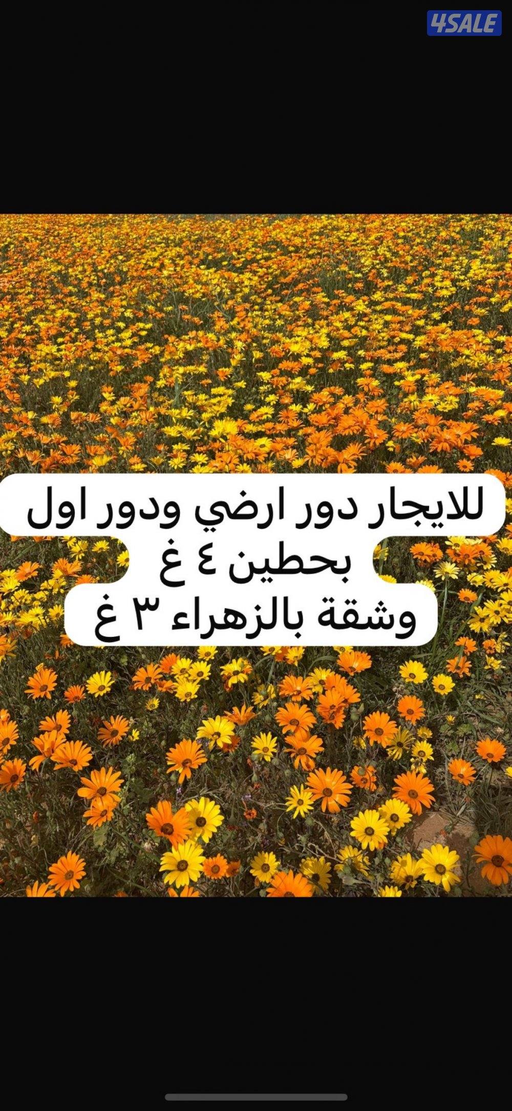 للايجار دور ٤ غرف ارضي ويوجد دور اول بعد ٧٠٠ و٧٥٠ اجار0