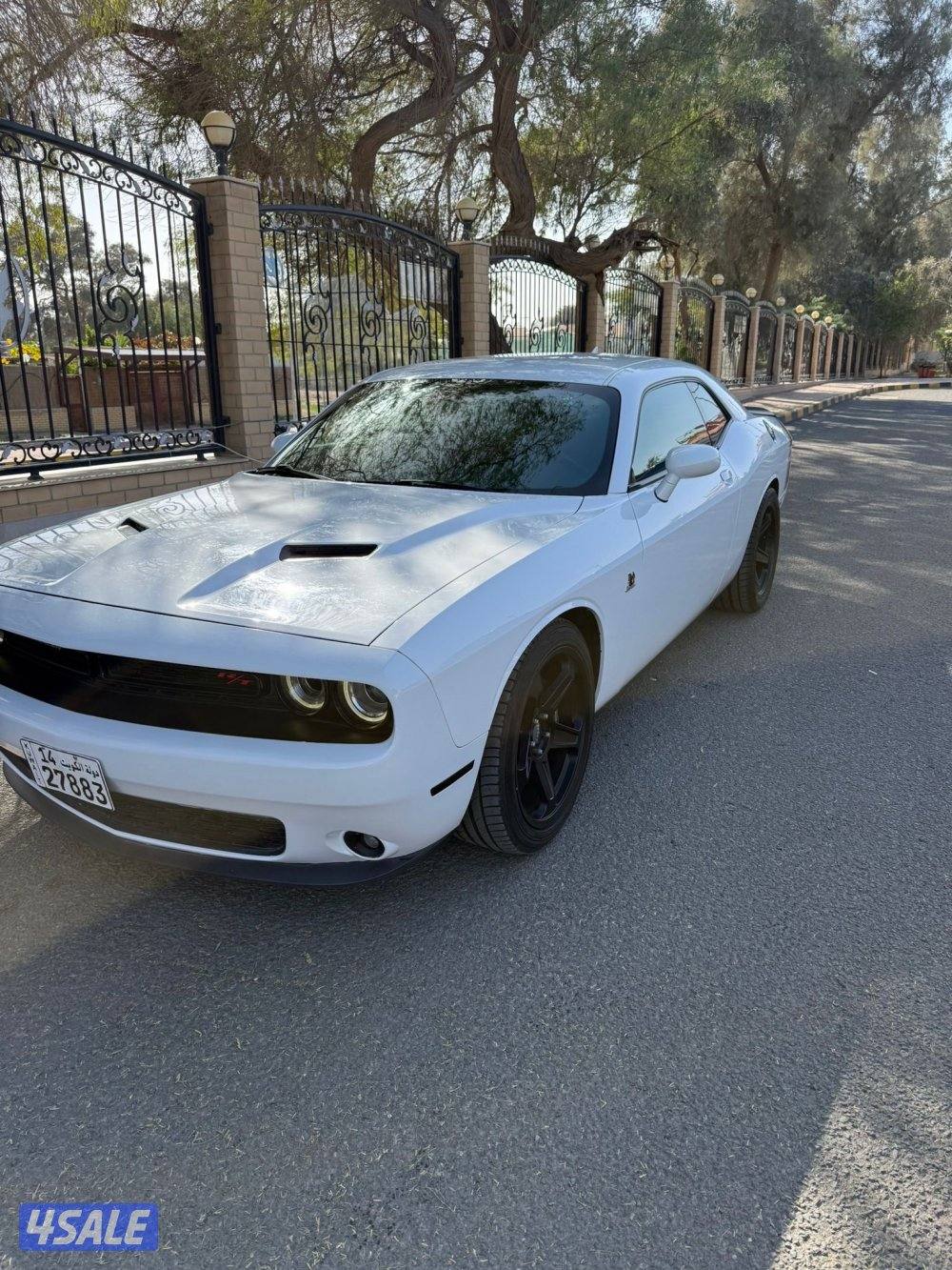 شمال الاحمدي11