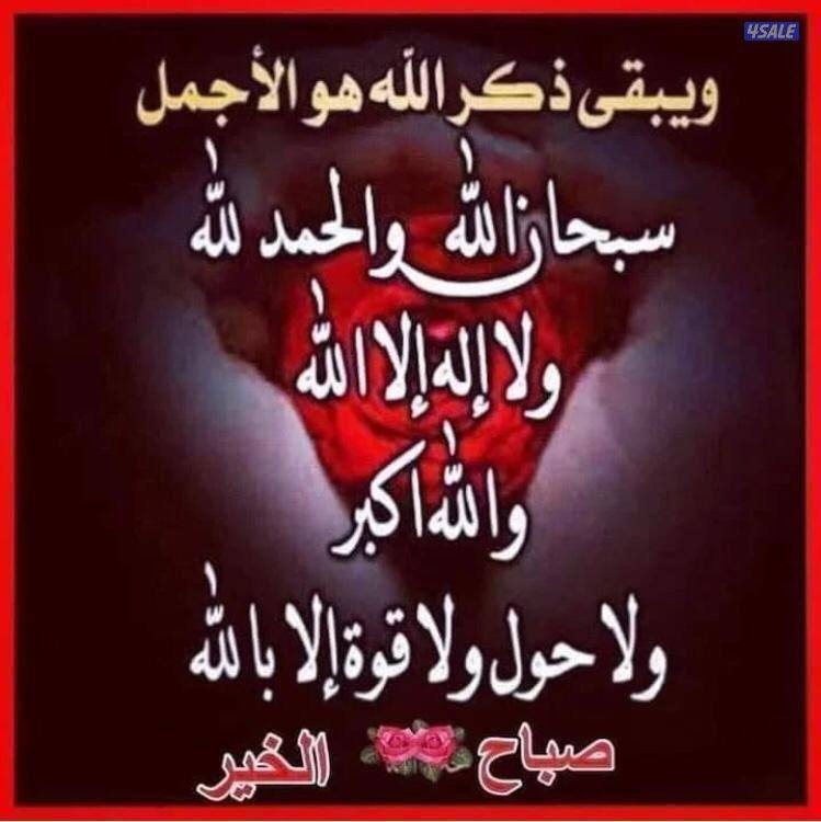 شاب بدون ابحث عن عمل0