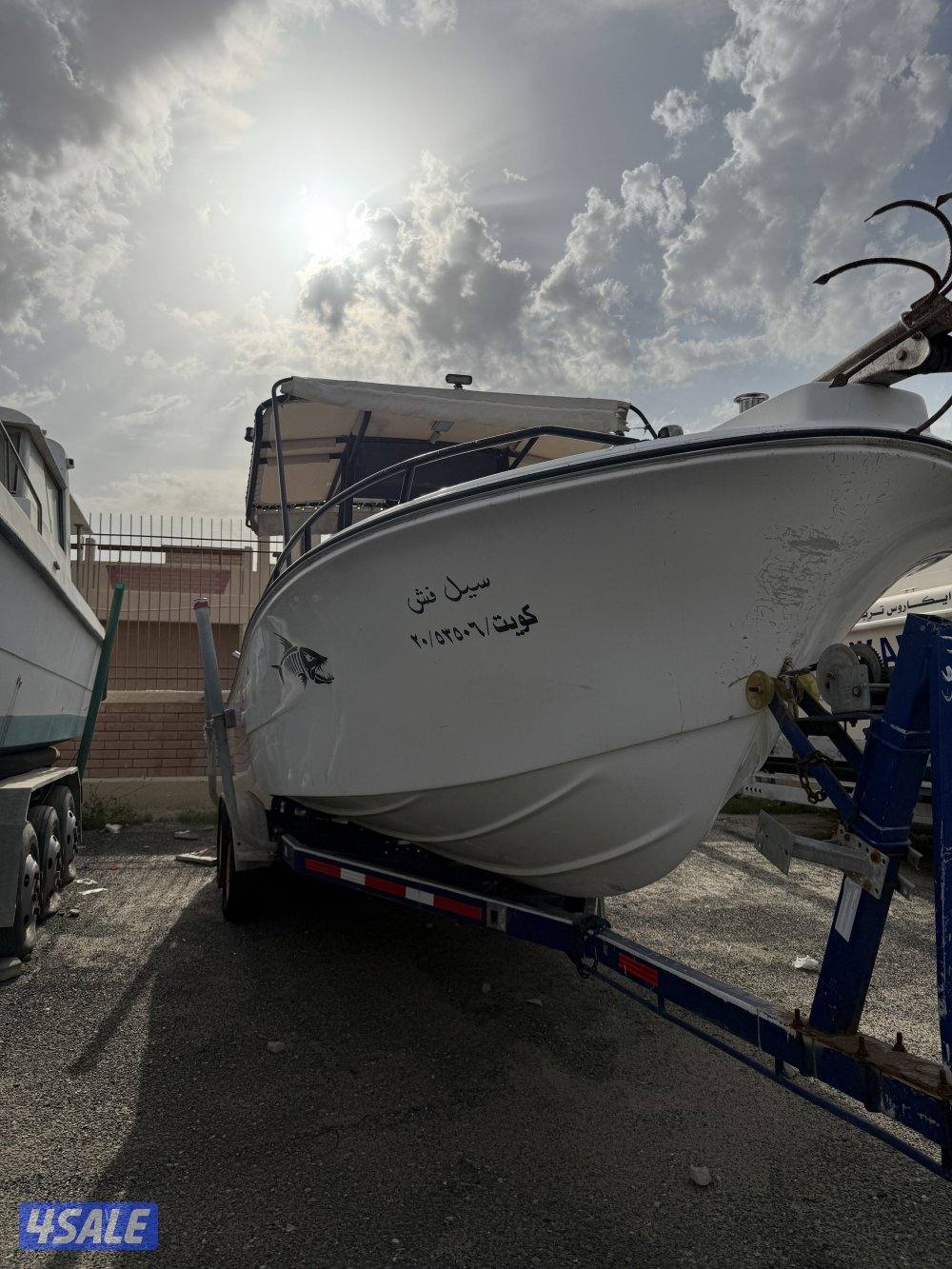 للبيع طراد امريكي ( pro line ) 23 قدم شرط الفحص2